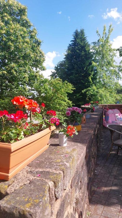 Privat Appartment Fockelberg Dış mekan fotoğraf